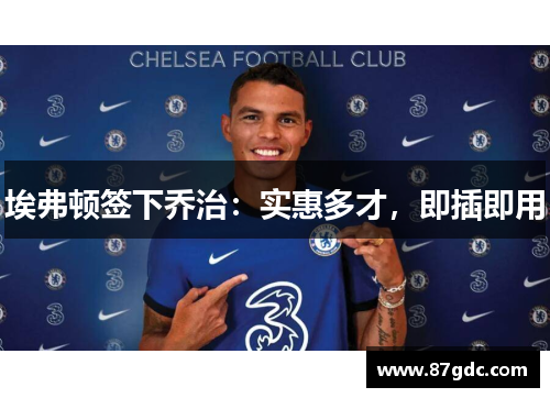 埃弗顿签下乔治：实惠多才，即插即用